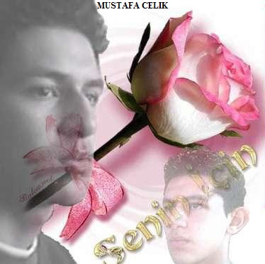 MUSTAFA CELIK